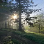 Lejlighed Apartment Nahe Erzgebirge Fuer 2 Personen Neuhausen (Saxony)