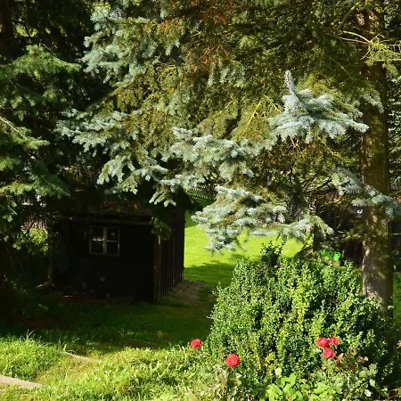 In Rauschenbach Saxony Near Forest