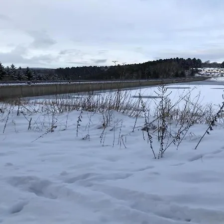 Tranquil Escape In Rauschenbach Apartmán Neuhausen (Saxony)