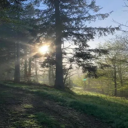 Apartmán Tranquil Escape In Rauschenbach Neuhausen (Saxony)