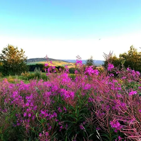 Tranquil Escape In Rauschenbach شقة *