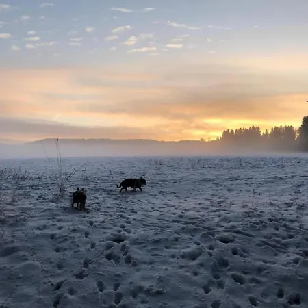 Tranquil Escape In Rauschenbach Apartmán Neuhausen (Saxony)