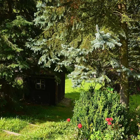 Apartment Nahe Erzgebirge Fuer 2 Personen Appartement *