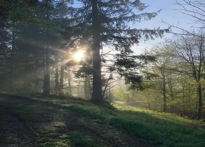 Апартаменты Tranquil Escape In Rauschenbach Нойхаузен
