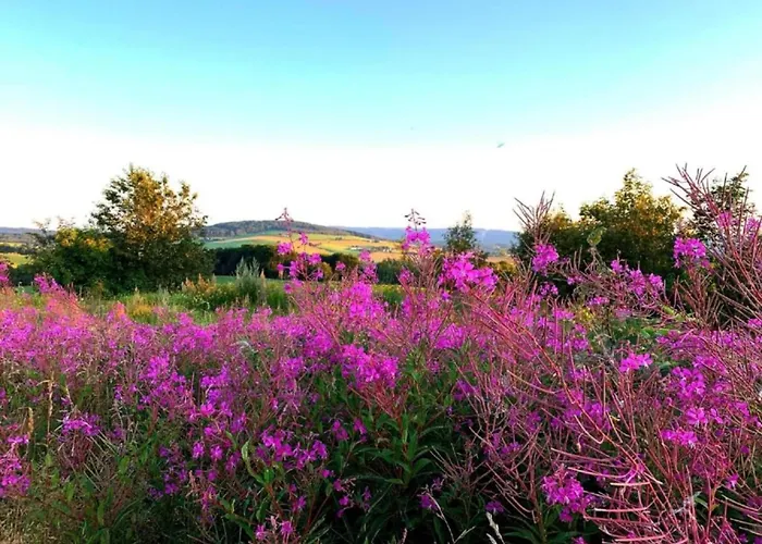 Apartment Nahe Erzgebirge Fuer 2 Personen Apartament *