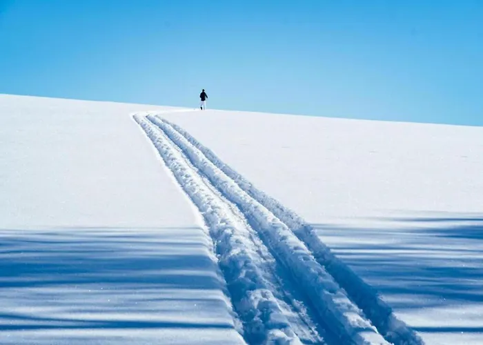 Tranquil Escape In Rauschenbach Апартаменты Нойхаузен