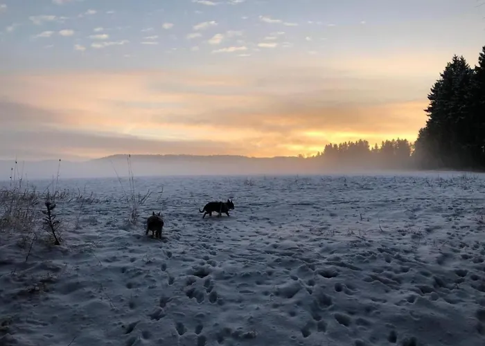 Tranquil Escape In Rauschenbach Апартаменты Нойхаузен