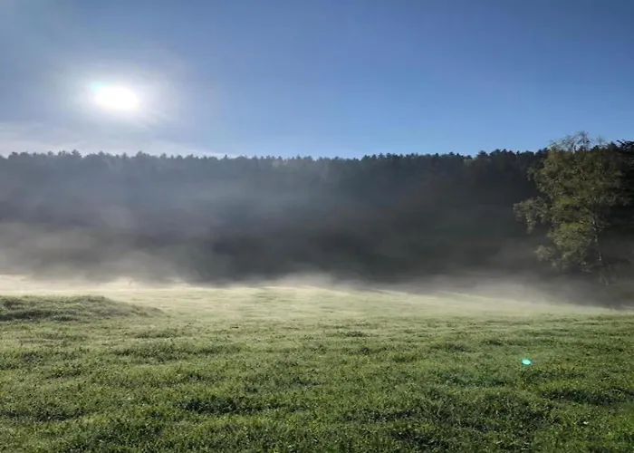 Apartament Apartment Nahe Erzgebirge Fuer 2 Personen